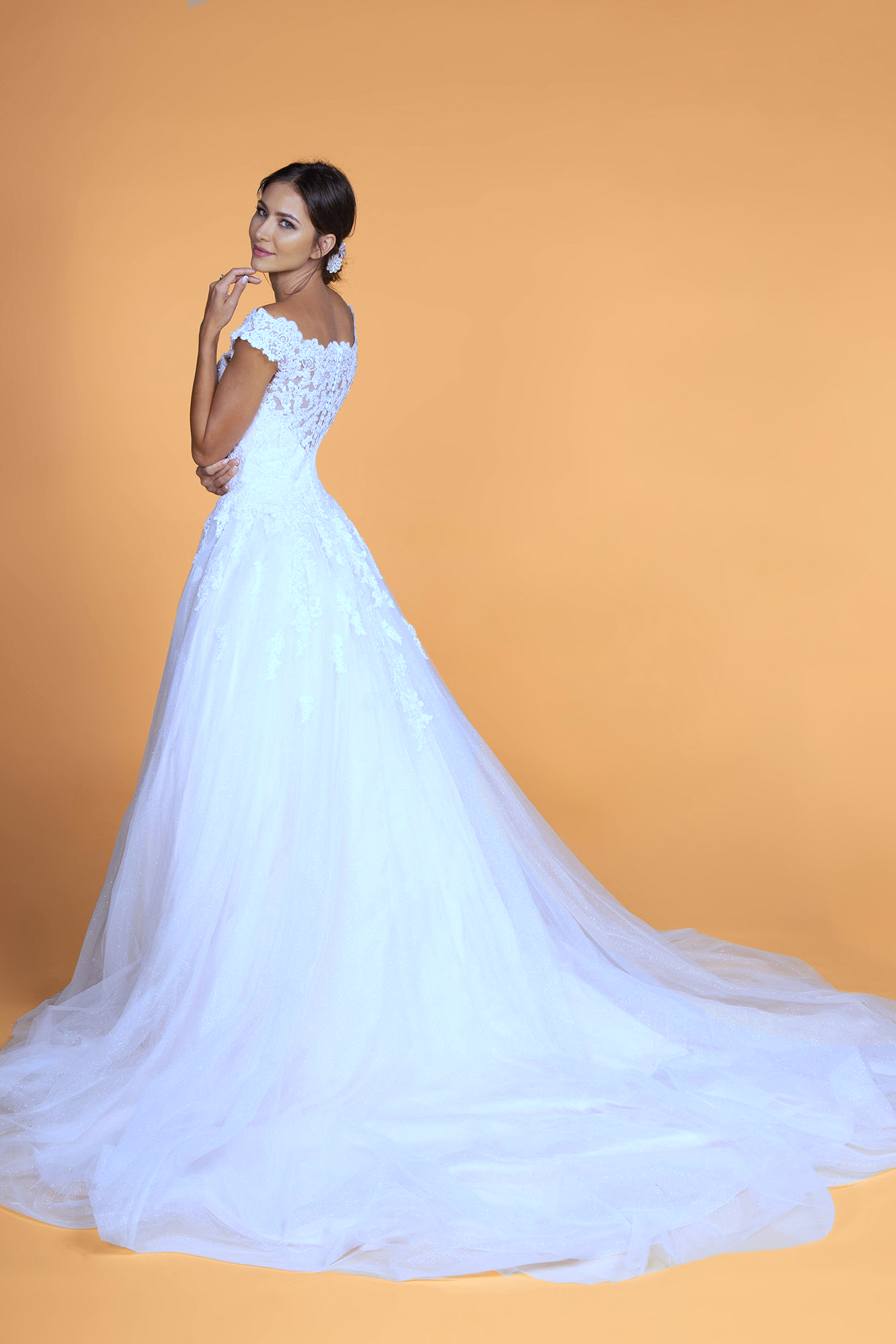 Boat-Neck Embroidered Mesh A-Line Wedding Gown-4