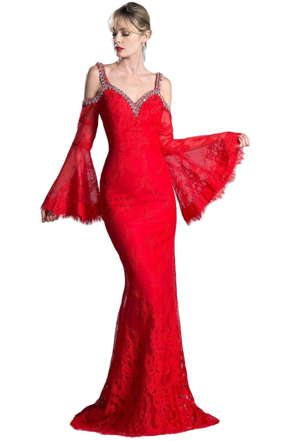 Lace Dress With Floral Patterns and V-Neckline-5