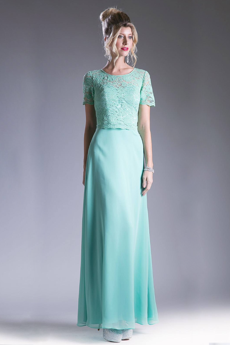 Long  Chiffon Dress with Short Sleeves-1