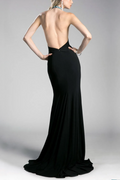 Sleeveless Halter Neckline Dress-0
