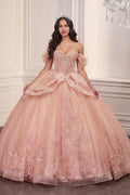 Embellished Sweetheart Ball Gown | Glitter Tulle Illusion Corset Quinceañera Dress-0