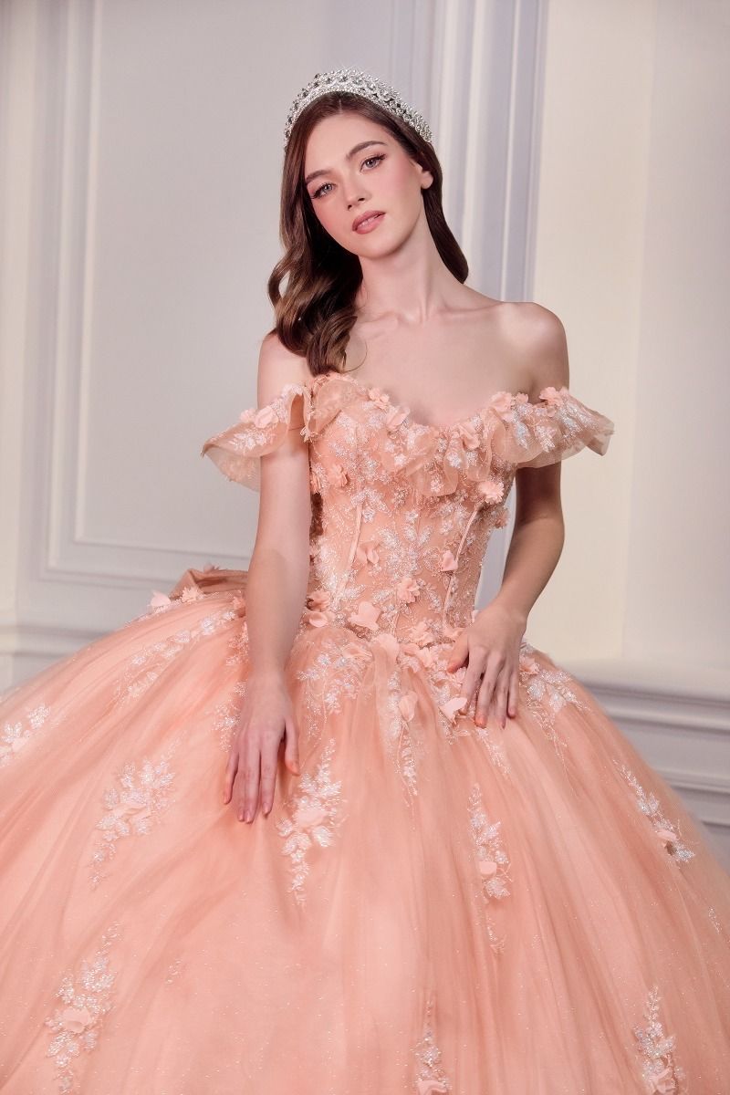 Blush Pink Off-Shoulder Floral Quinceañera Ball Gown with Oversized Bow-3
