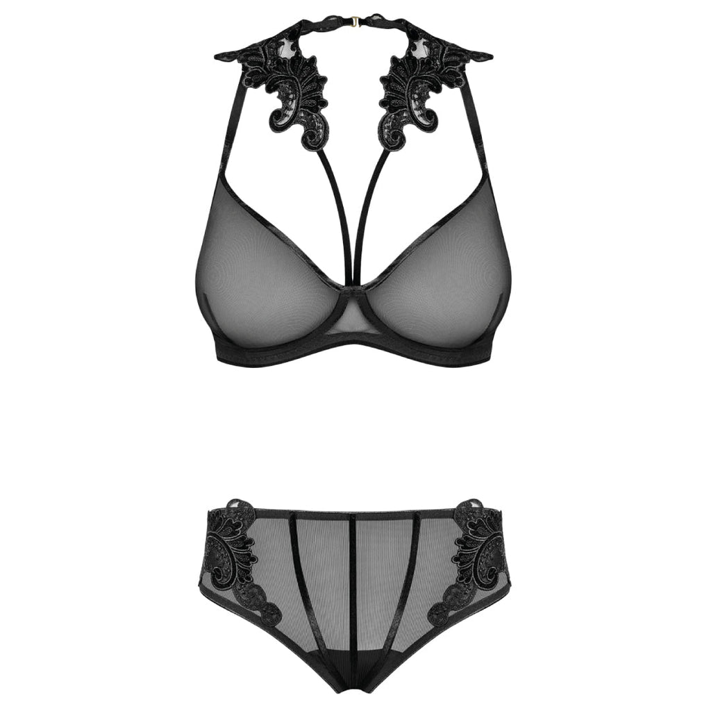 Sexy Sheer Demi Bra & Mesh Bikini Panty Set Majesty-2
