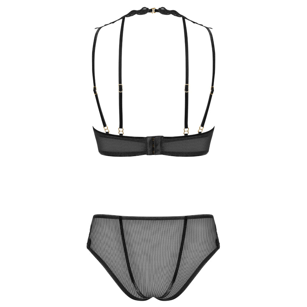 Sexy Sheer Demi Bra & Mesh Bikini Panty Set Majesty-3