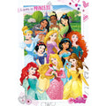 Disney Princess Poster-0