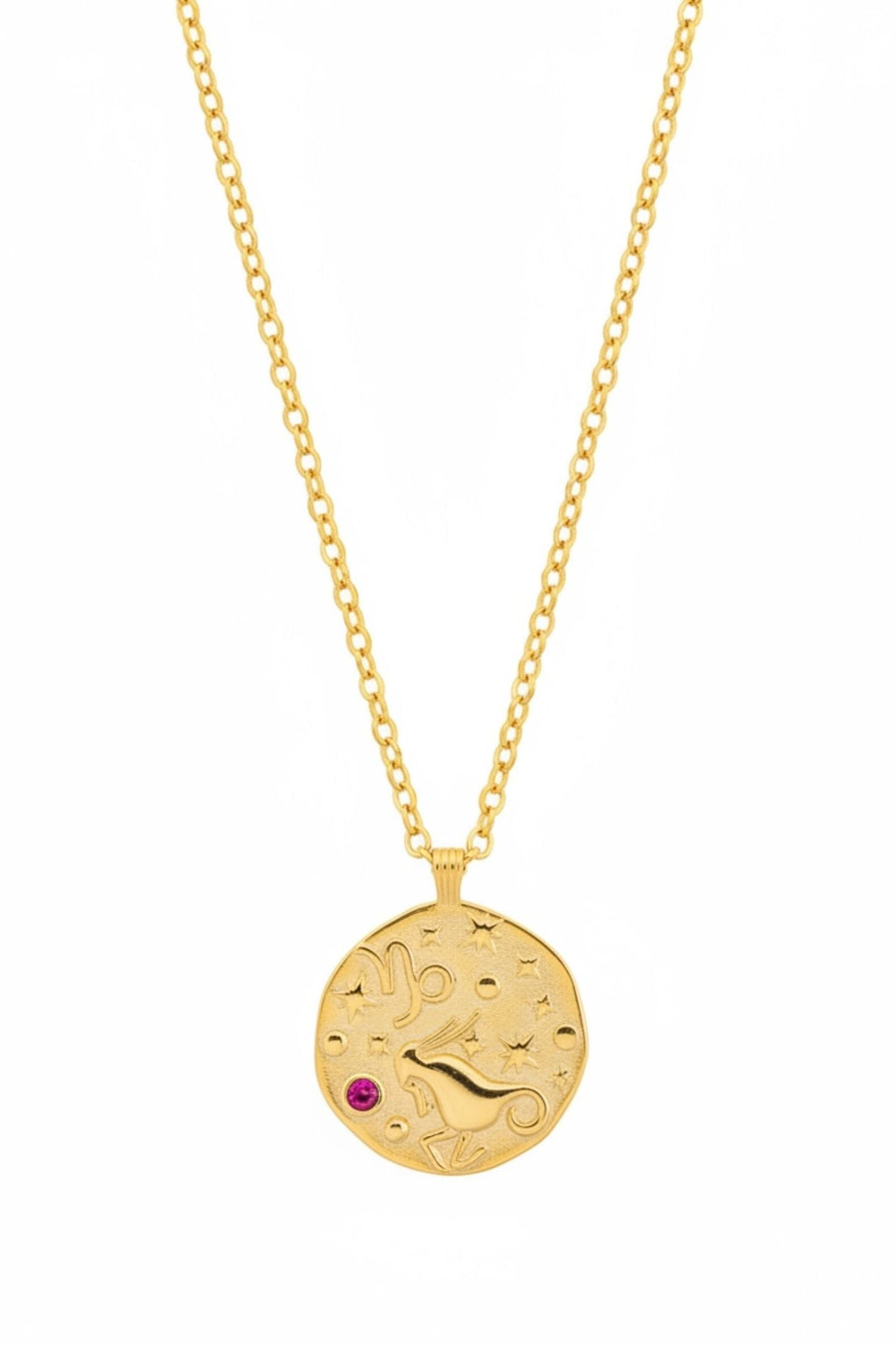 Zodiac Birthstone Talisman Necklace Capricorn Gold