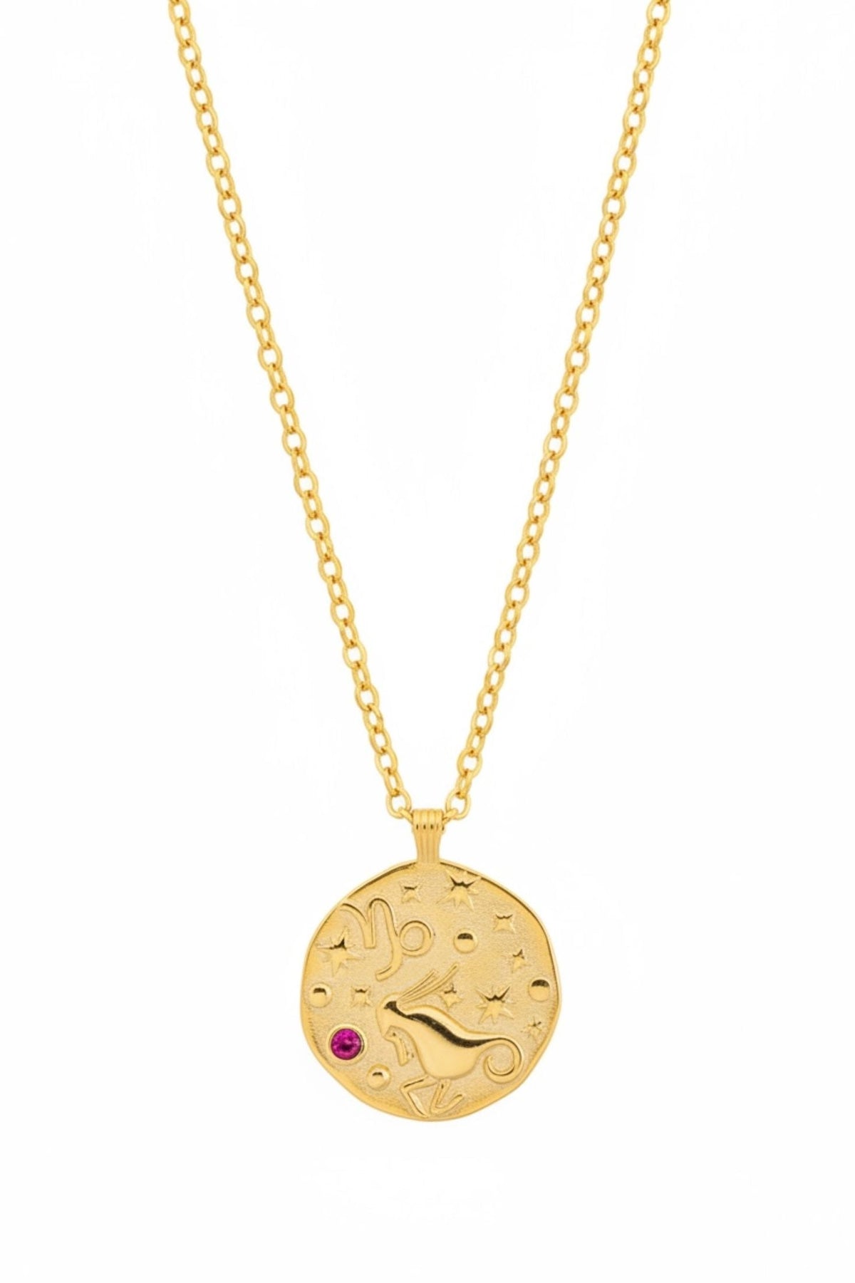 Zodiac Birthstone Talisman Necklace Capricorn Gold