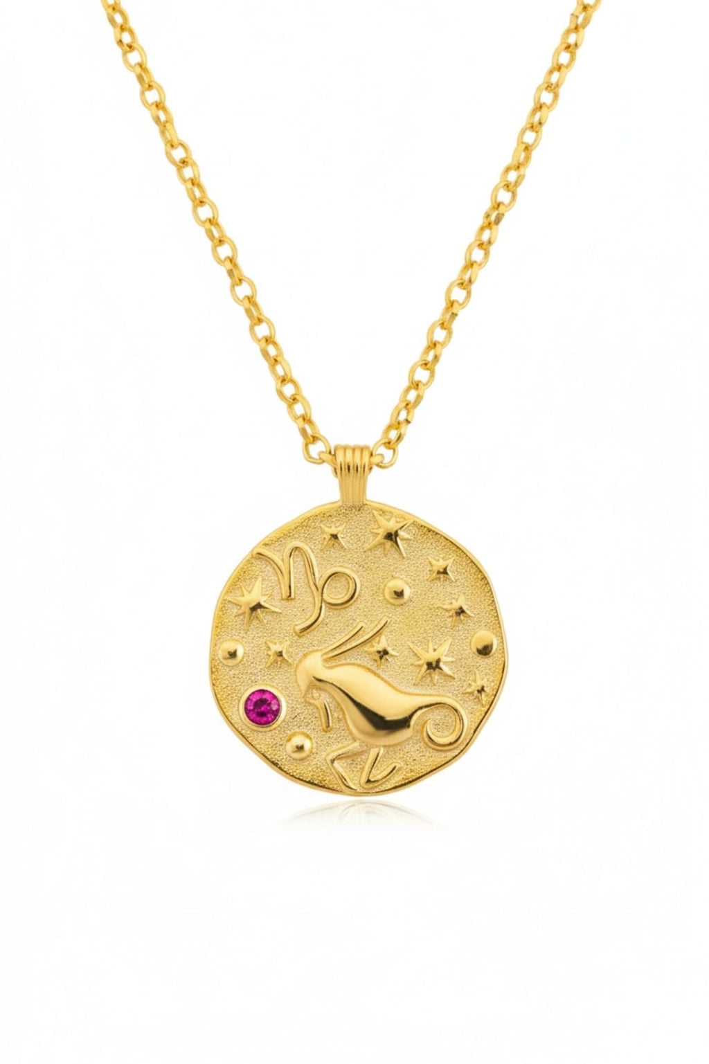 Zodiac Birthstone Talisman Necklace Capricorn Gold
