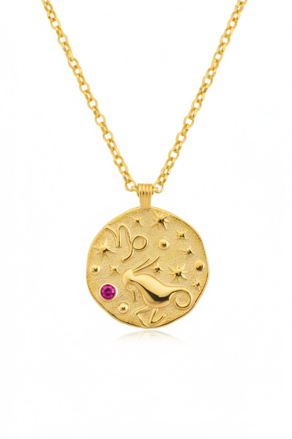 Zodiac Birthstone Talisman Necklace Capricorn Gold