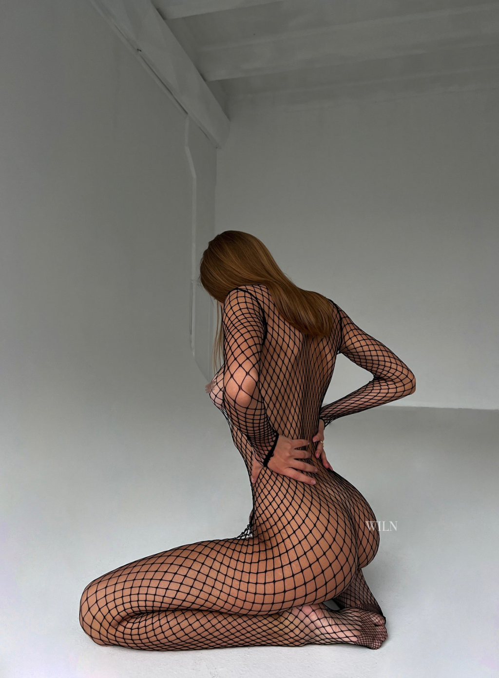 81446464
