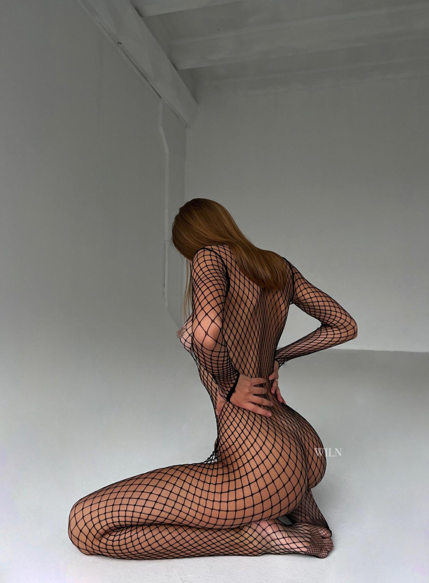 81446464