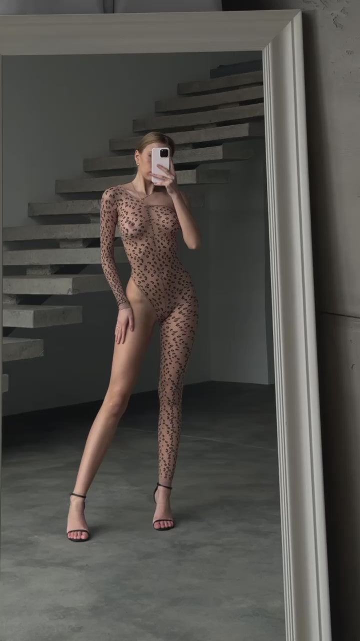 81446625