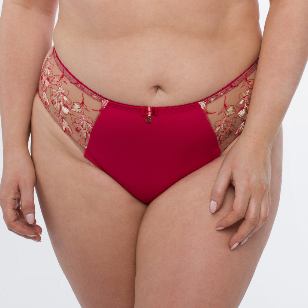 Sheer Mesh Tulle Embroidered Bikini Panty Daniela-0