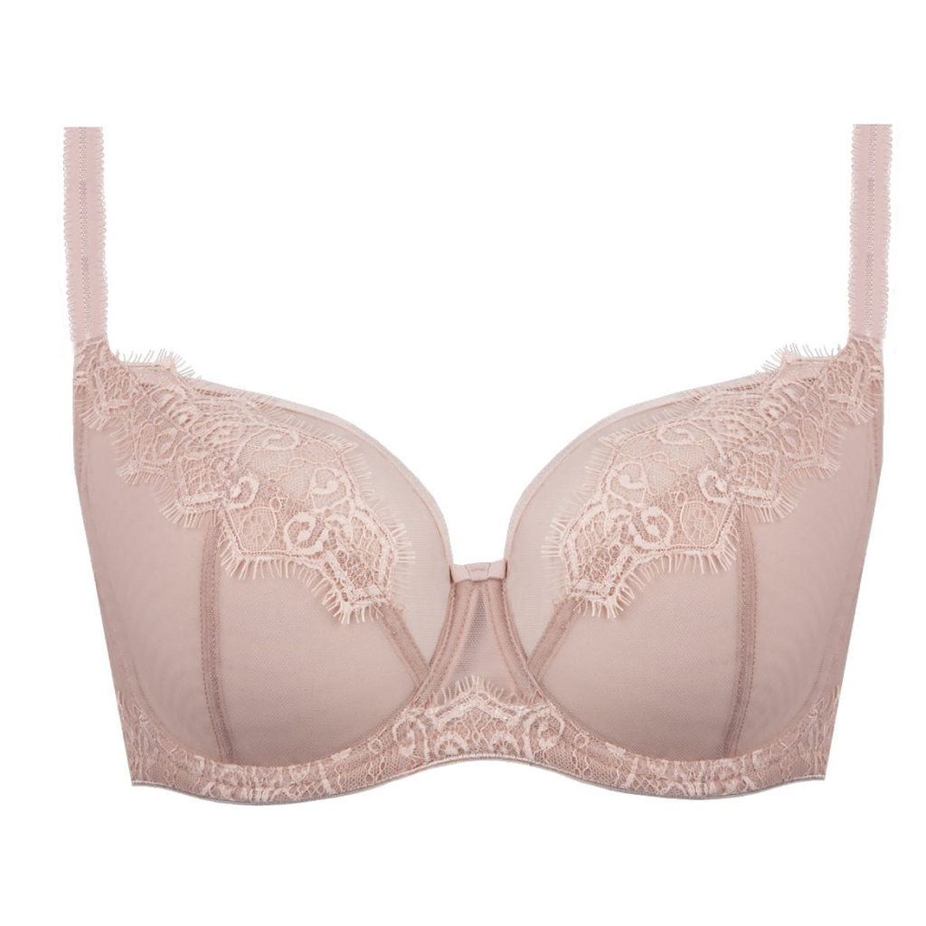 Sheer Mesh Full Figure Lace Bra Daisy-4