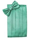 Set Herringbone Cummerbund & Bow Tie-0