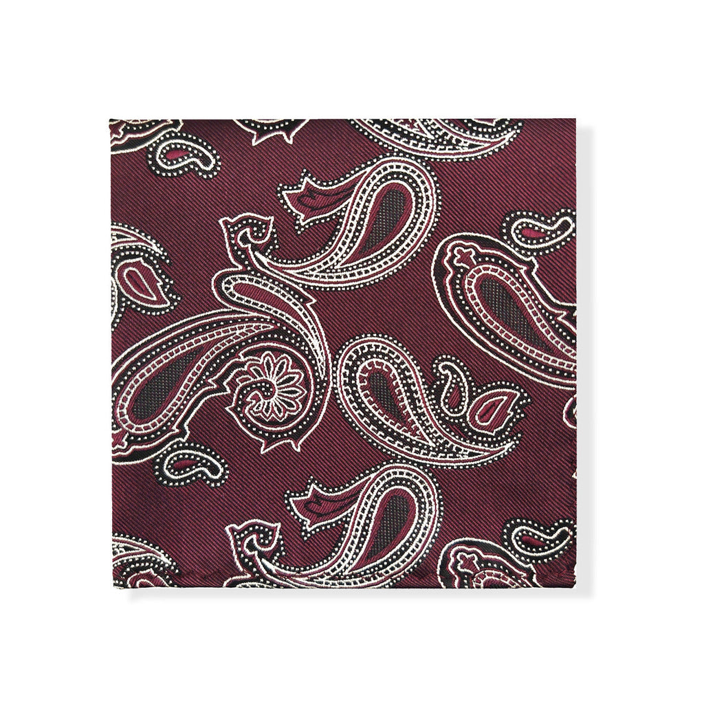 Purple Paisley Tie & Pocket Square Set-2