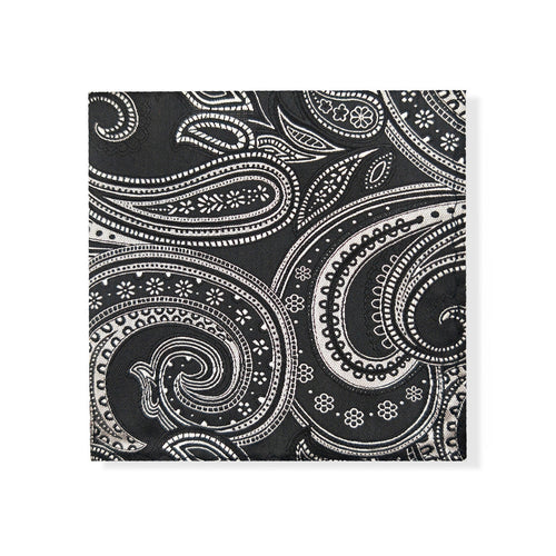 Black Silver Paisley Tie & Pocket Square Set-1