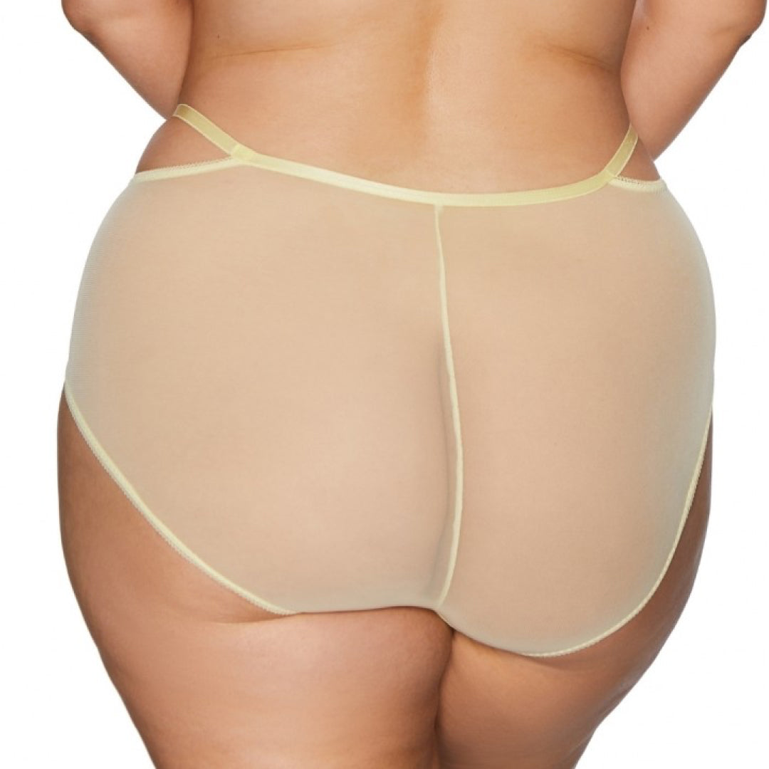 Soft High Waist Tulle Brief Panty Kinga Forget Me Not-1