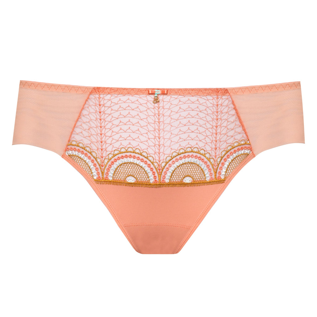 Sheer Mesh Tulle Bikini Panty Lea-2