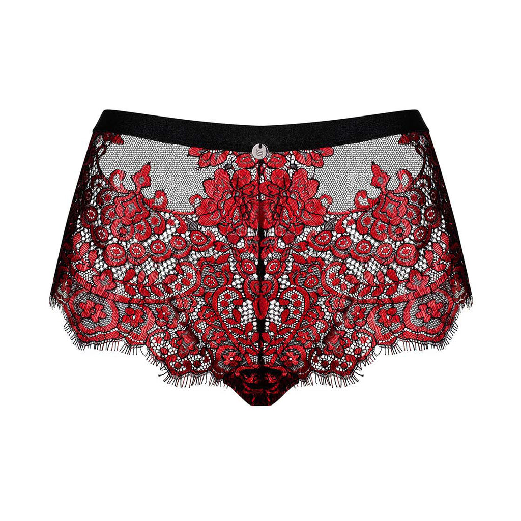 Sheer Seductive Lace Shorties Panty Obsessive Redessia-4