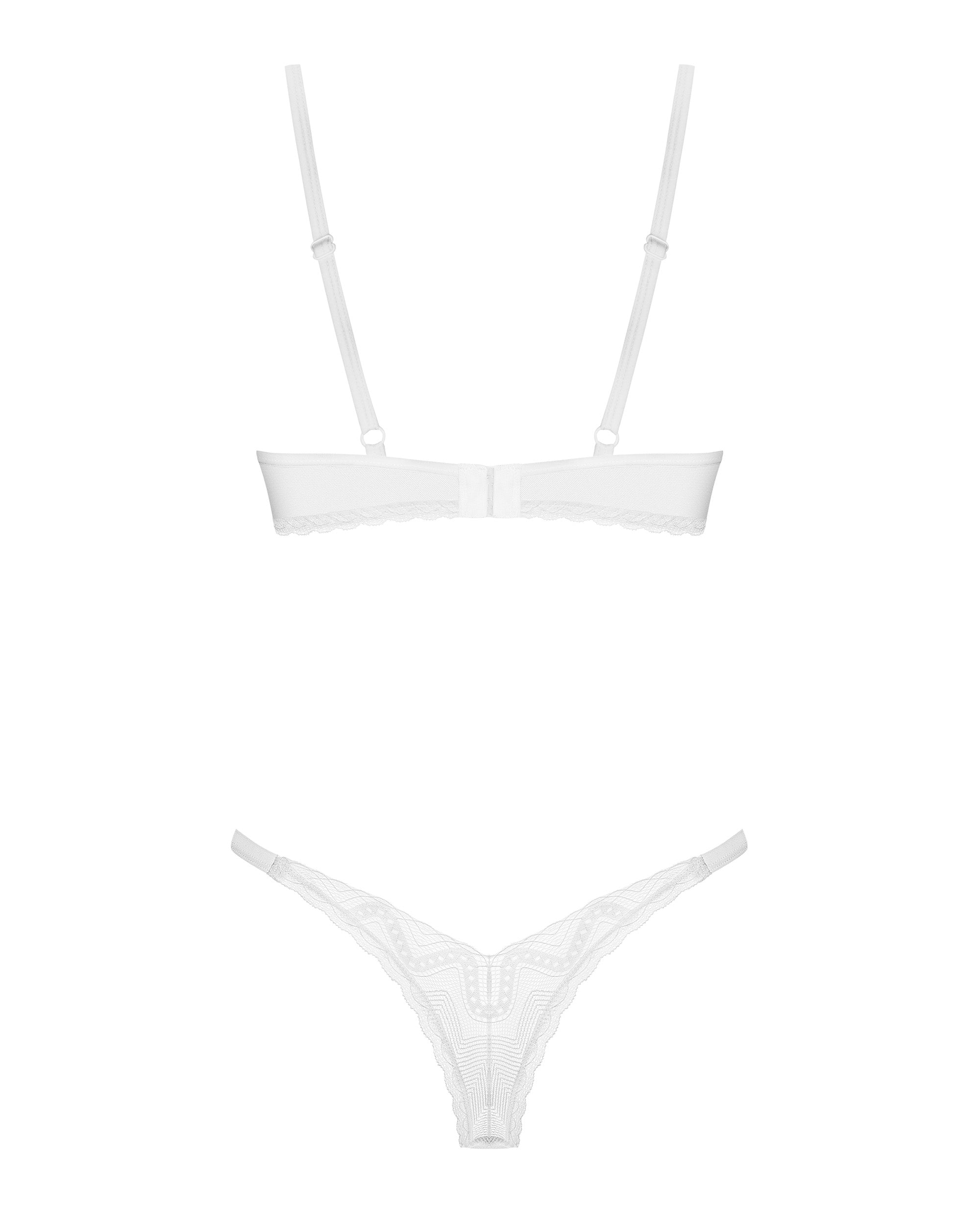 Sexy Sheer Demi Bra & Thong Panty Obsessive Alissium-4