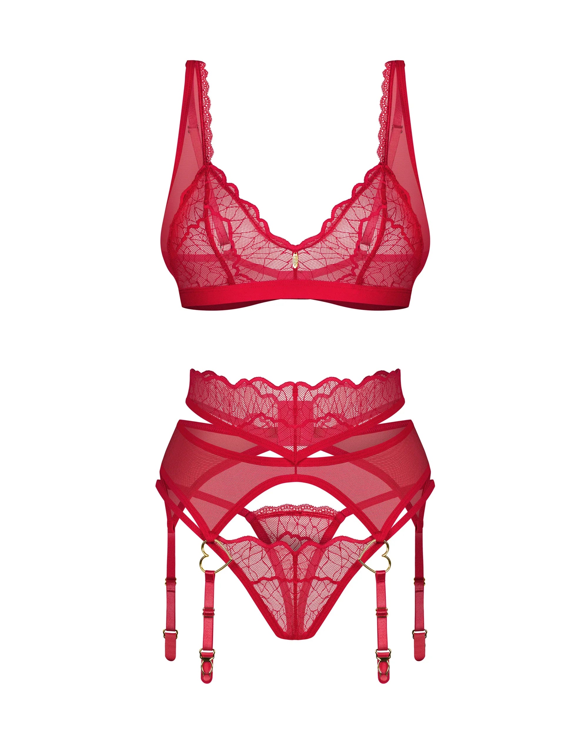 Sheer Bralette Thong Garter Belt Set Obsessive Cupide Desir-4