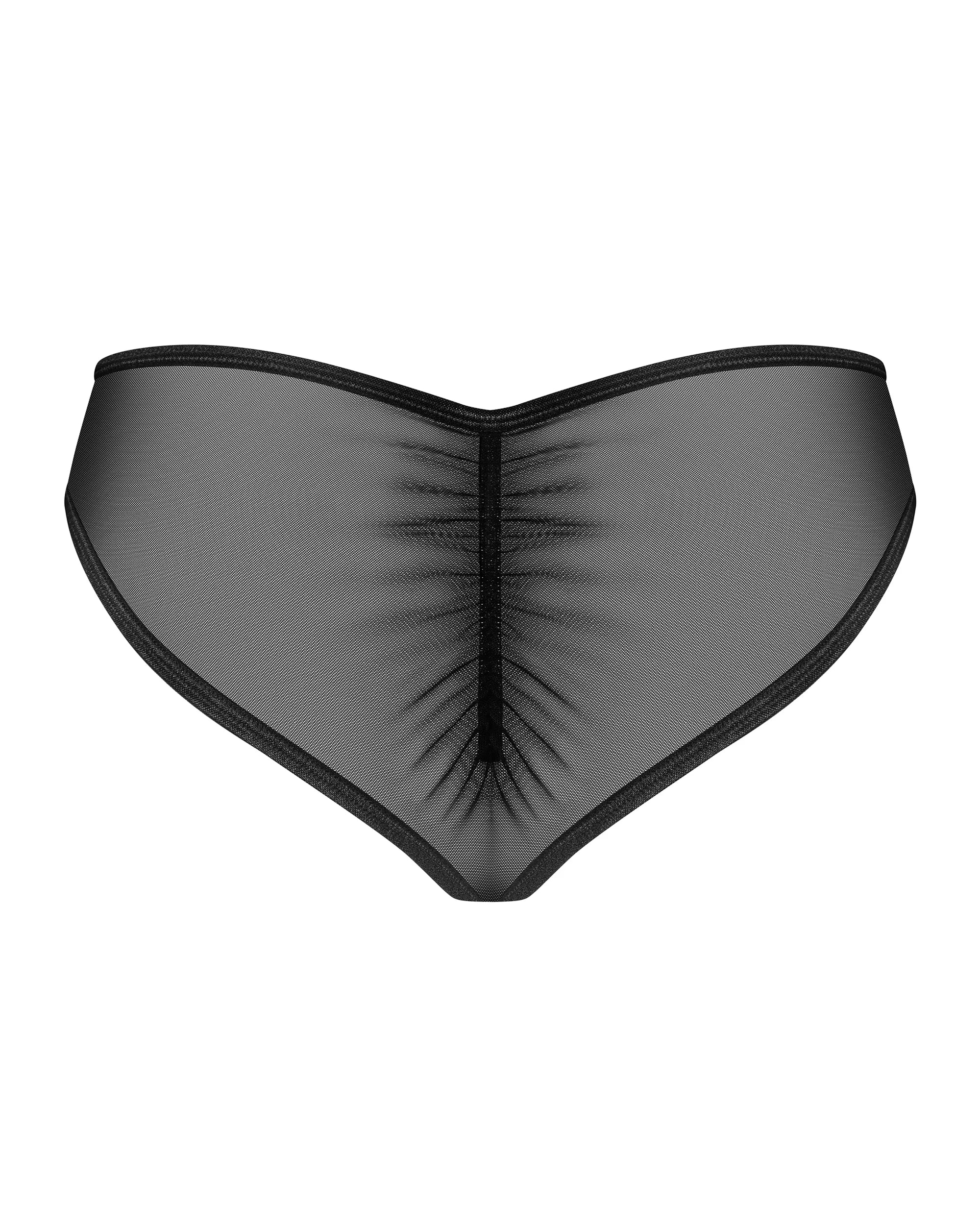 Sheer Mesh Lace Bikini Panty Obsessive Donarella-3