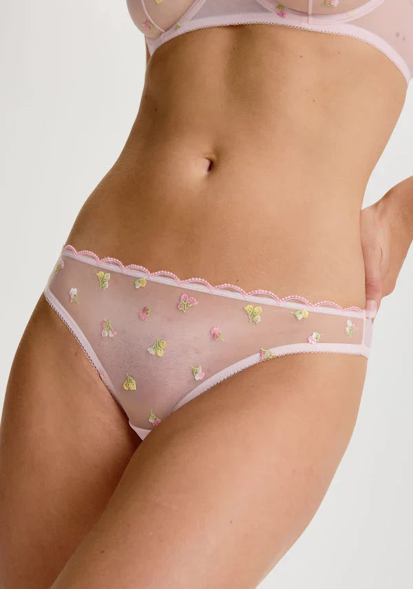 Sheer Mesh Peek-A-Boo Bikini Panty Blush Roseline-0