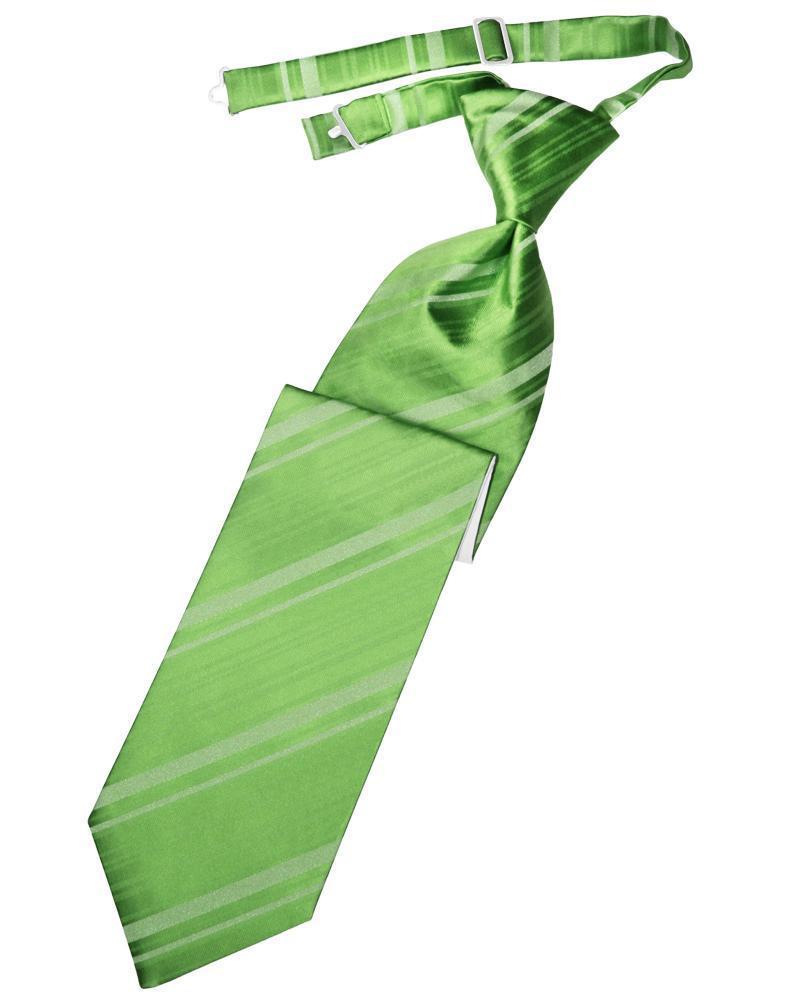 Striped Satin Necktie Pre-Tie-29