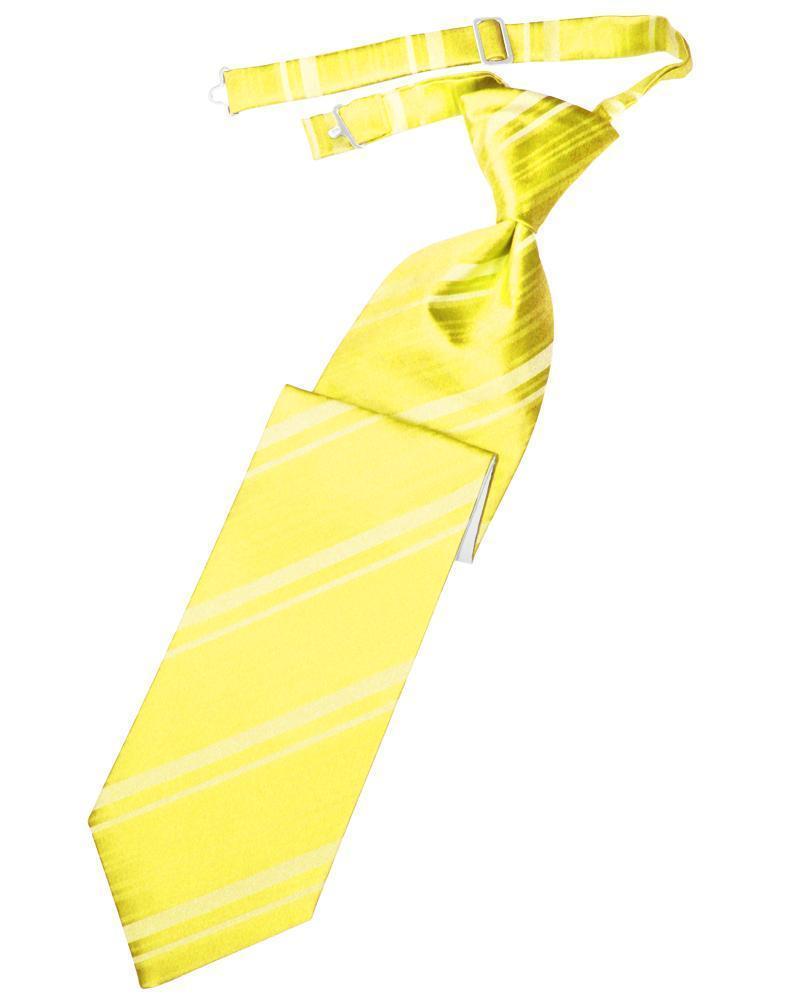 Striped Satin Necktie Pre-Tie-32