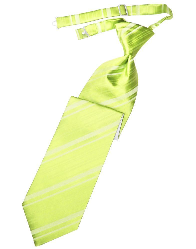 Striped Satin Necktie Pre-Tie-34