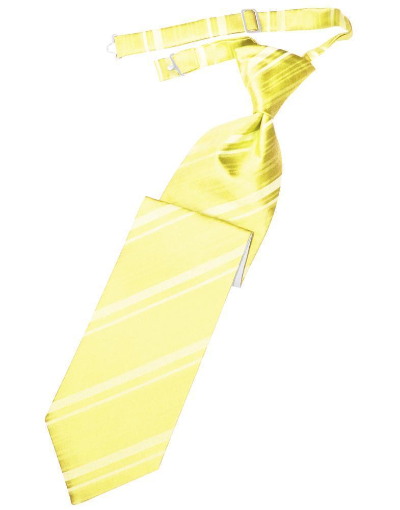 Striped Satin Necktie Pre-Tie-57
