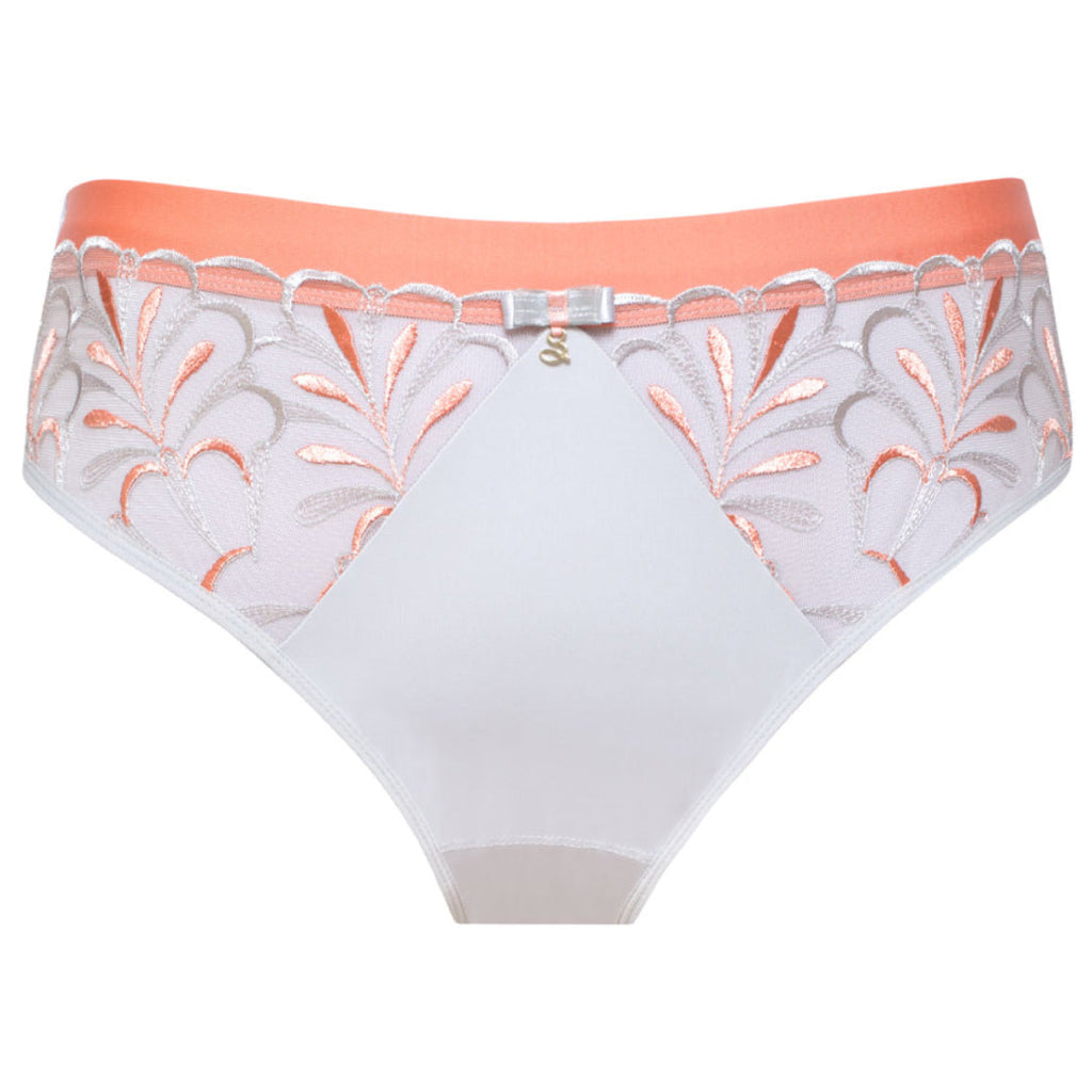 Sheer Mesh Tulle Embroidered Brief Panty Sweet-2