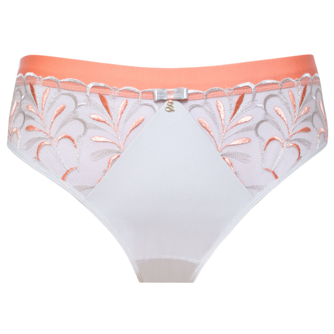 Sheer Mesh Tulle Embroidered Brief Panty Sweet-2