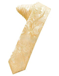 Tapestry Skinny Necktie Self Tie-2