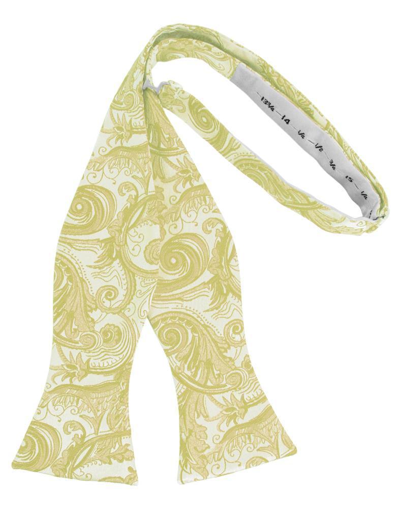 Tapestry Bow Tie Self Tie-4