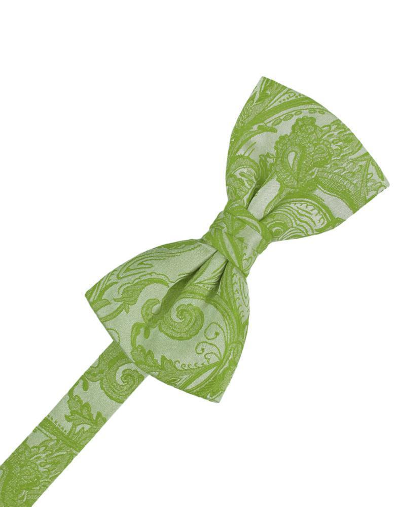 Tapestry Kids Bow Tie-12