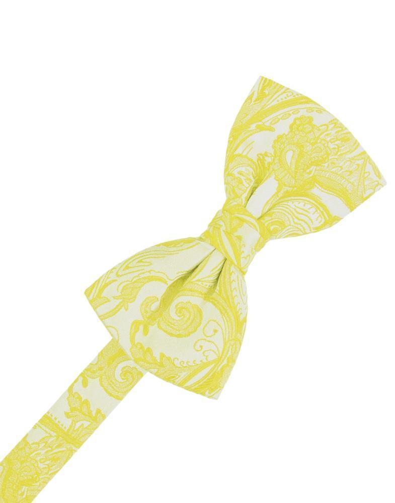 Tapestry Kids Bow Tie-61