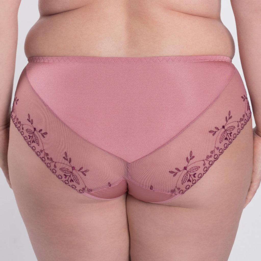 Sheer Mesh Tulle Embroidered Brief Panty Viola-1