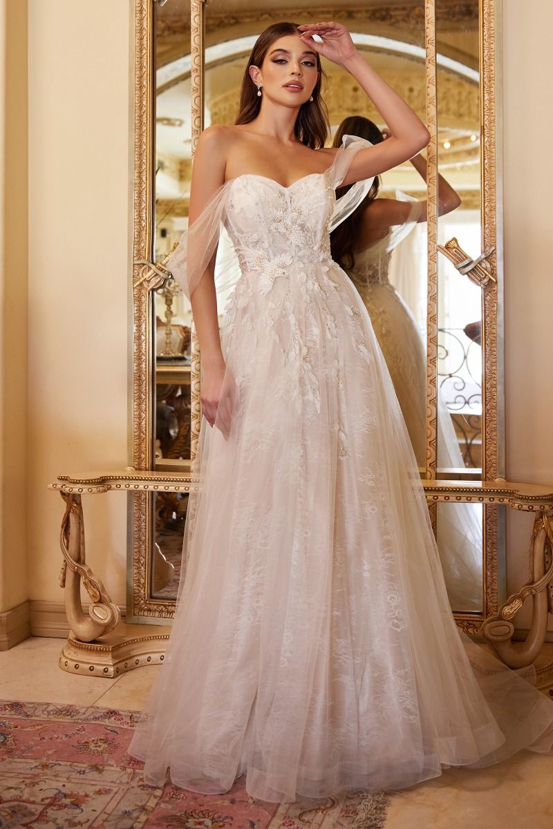 Off The Shoulder Birds Of Romance A-Line Gown-1