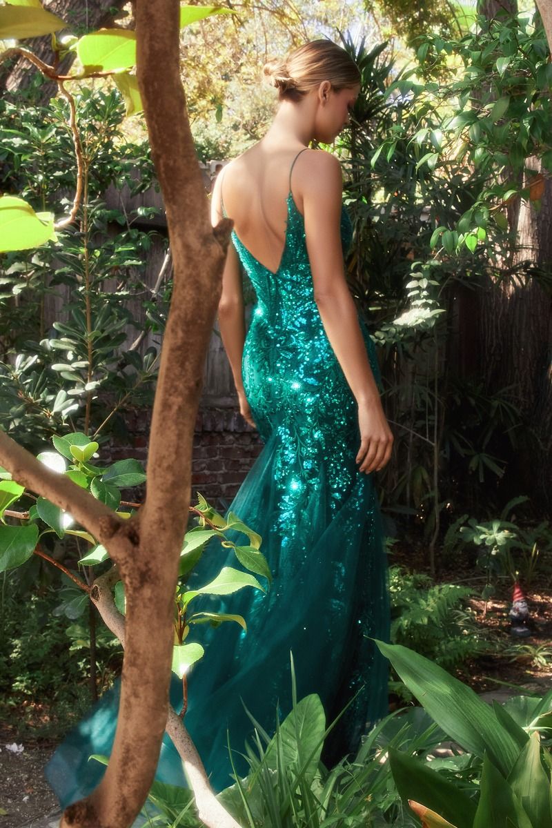 Fitted Mermaid Gown With Beaded Lace Applique-1