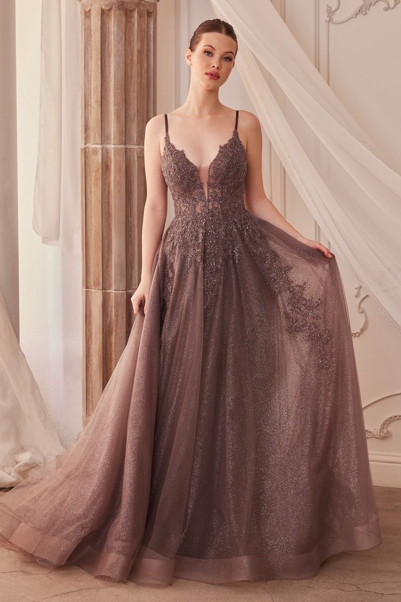 Lace Embellished A-Line Layered Tulle Gown-4
