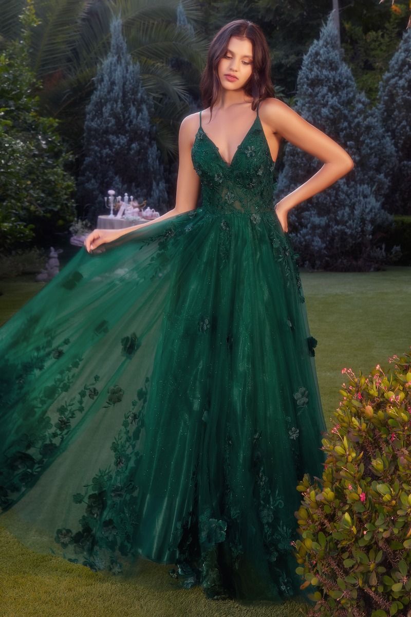 Tulle A-Line Floral Appliqued Gown-1