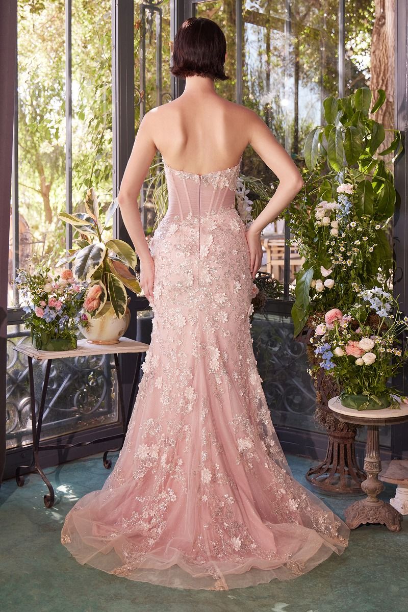 Sheer Plated Corset Gown-1