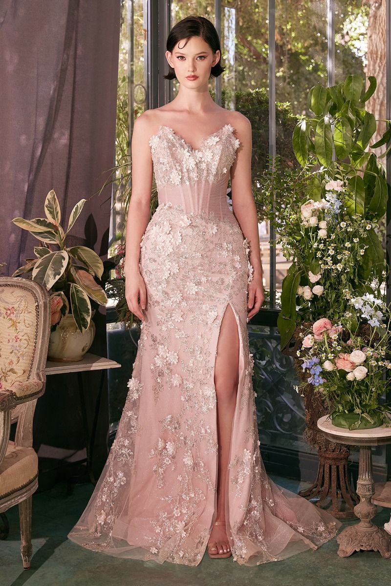 Sheer Plated Corset Gown-0