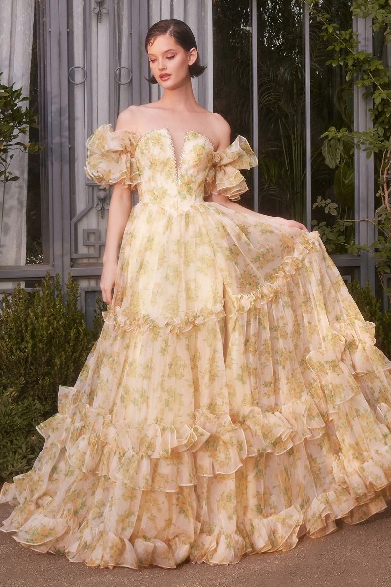 Strapless Floral Printed Ball Gown-3