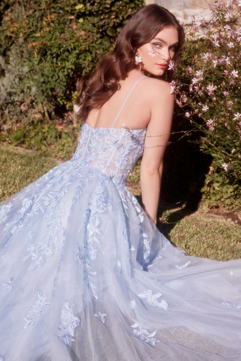 Light Blue Leaf Motif Appliqued A-Line Dress-2