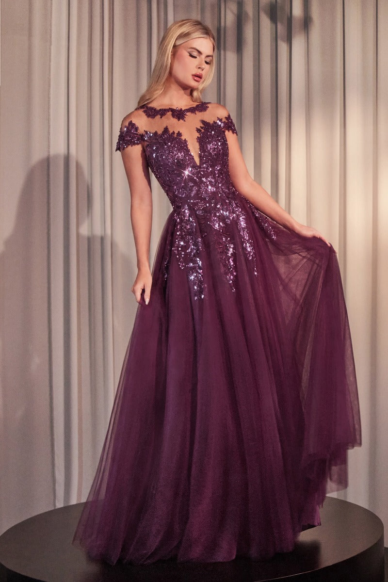 Elegant A-Line Floral Appliqué Tulle Gown With Illusion Neckline & Cap Sleeves-3