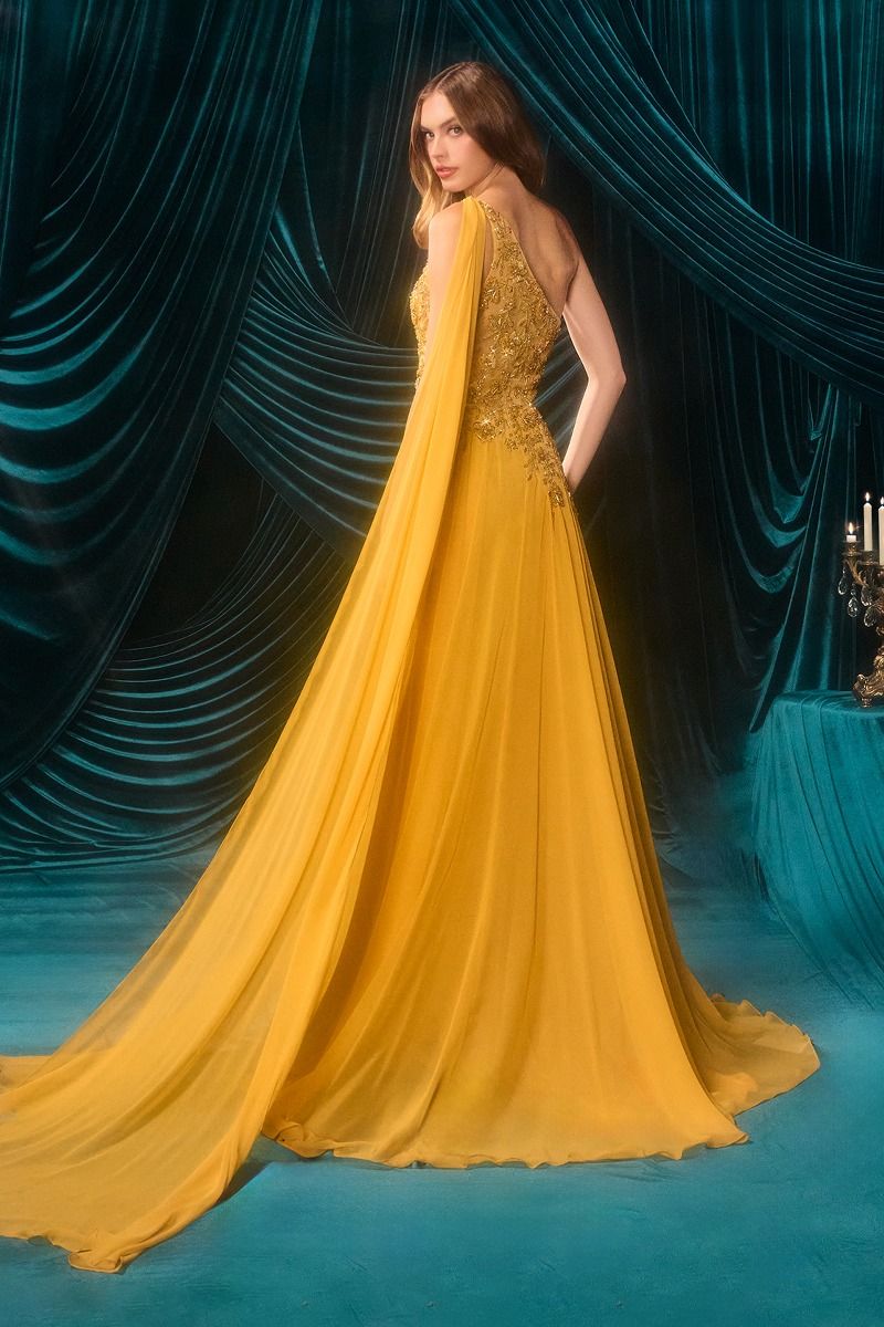 Floral Lace Chiffon Evening Gown-2