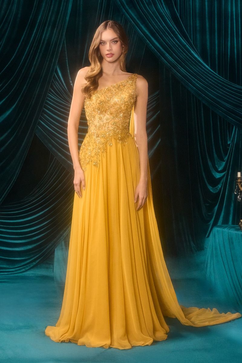 Floral Lace Chiffon Evening Gown-2